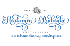 Andelintia - Family Font In 67 Styles Product Image 7