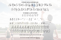 Volleyball Product Image 7