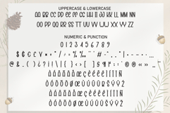 Christmas Alphabet Product Image 7