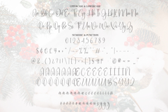 Christmas Wonderful Product Image 7