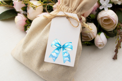 Soft Blue Cloudy Sky Coquette Bow Clipart Product Image 6