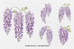 15 Bundle Watercolor Wisteria Flower Romantic Japanese Product Image 7