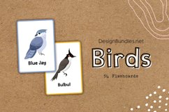 54 Birds Educational Flashcards Product Image 2