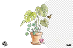 Summer Wildflowers &amp; Bird &amp; Insect Clipart - Houseplant PNG Product Image 1