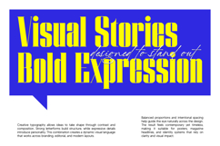 Mistkin | Font Duo Product Image 7