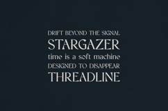 Vellumo Elegant Serif Font Product Image 7