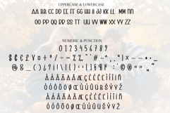 Love Pumpkin Product Image 7