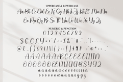 Something Product Image 7