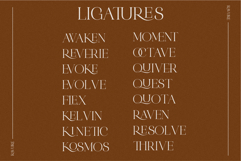 Ravure A Powerful Serif Font Product Image 8