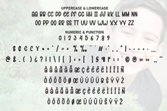 Nice Boy Product Image 7