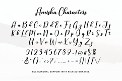 Amisha Product Image 7