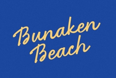 Real Balance - Elegant Script Font Product Image 7