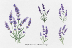 15 Bundle Watercolor Lavender Flower Purple Rustic Vintage Product Image 7