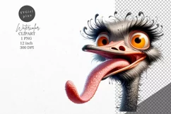 Ostrich clipart, Bird clipart, Funny clipart Product Image 1