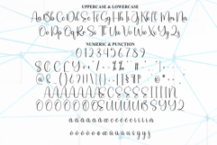 Network Product Image 7