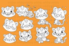 Black and White Emotional Tiger Product Image 2