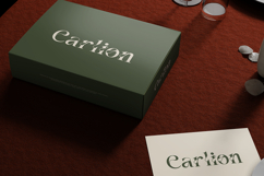 Vanelo - Luxury Serif font Product Image 7