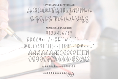 Signature Product Image 7
