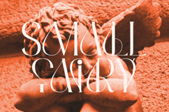 Valina Modern and Elegant Font Product Image 7