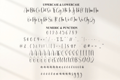 Dingbat Product Image 7