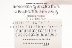 Election Product Image 7