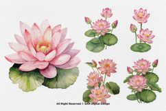 15 Bundle Watercolor Lotus Flower Meditation Elegant Floral Product Image 7