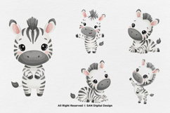 15 Bundle Watercolor Zebra Baby striped Animal Wildlife Product Image 7