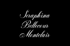 Armonia Aria Elegant Script Font Product Image 7