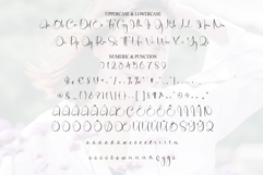 Beautiful Product Image 7