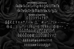 Black Rose Product Image 7