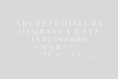 Aveline - Elegant Serif Product Image 7