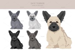 Skye Terrier clipart Product Image 2