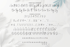 Bestia Product Image 7