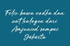Velomi Juice Elegant Handwritten Font Product Image 7