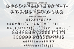 Angel Product Image 7