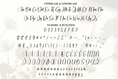 Sunday Product Image 7