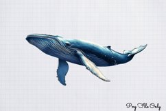 Whales Clipart designs Bundle PNG Product Image 8