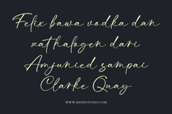 Dialtones Casual Handwritten Font Product Image 7