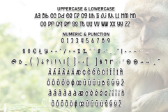 Hello Monkey Product Image 7