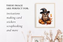 Cute owl halloween clipart, owl sublimation Product Image 3