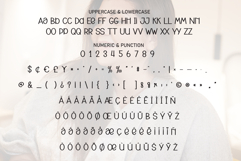 Chubby Happy Product Image 7