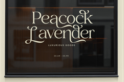 Xaviera - Luxury Serif Font Product Image 7