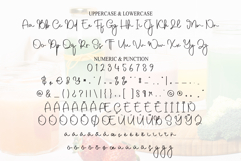 Smoothie Product Image 7