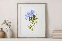 Blue Wildflowers PNG Product Image 2