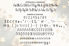 Special Christmas Product Image 7