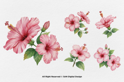 15 Bundle Watercolor Hibiscus Flower Blossom Hawaiian Floral Product Image 7