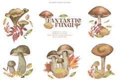 Watercolour Fantastic Fungi Product Image 7