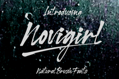 Novigirl Brush Product Image 1