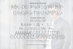Handsome Product Image 7