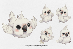 15 Bundle Watercolor White Baby Parrot Cute Bird Macaw Product Image 7
